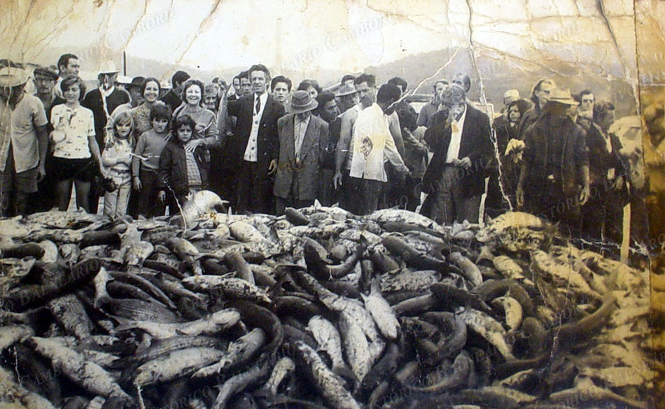 3539 Pesca da tainha Pontal Norte decada de 1970. Ao fundo Morro dos Correa 11 reuniao