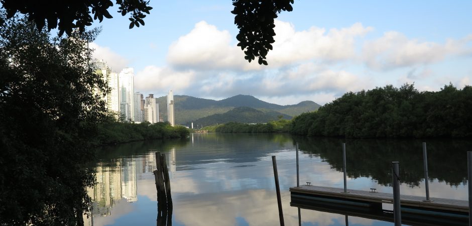 Paisagens do entorno do Rio Camboriú são retratadas em projeto