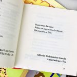 Livro Poesia no Ônibus de Balneário Camboriú tem distribuição gratuita