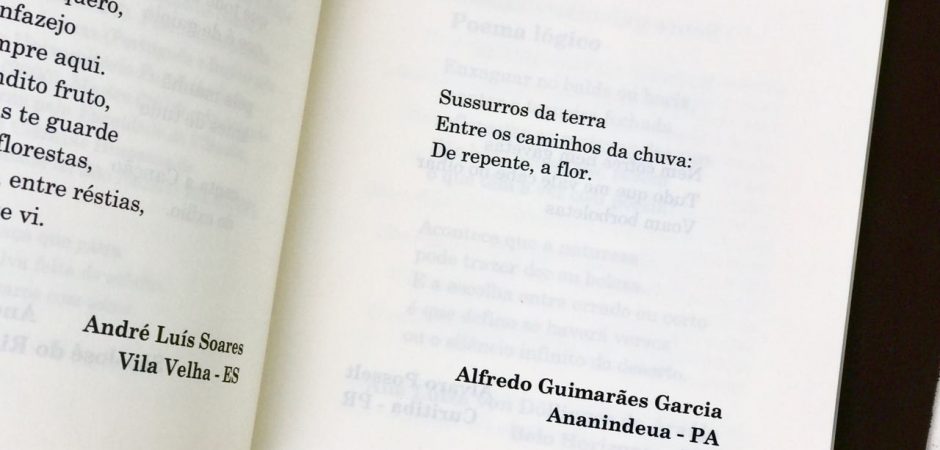 Livro Poesia no Ônibus de Balneário Camboriú tem distribuição gratuita