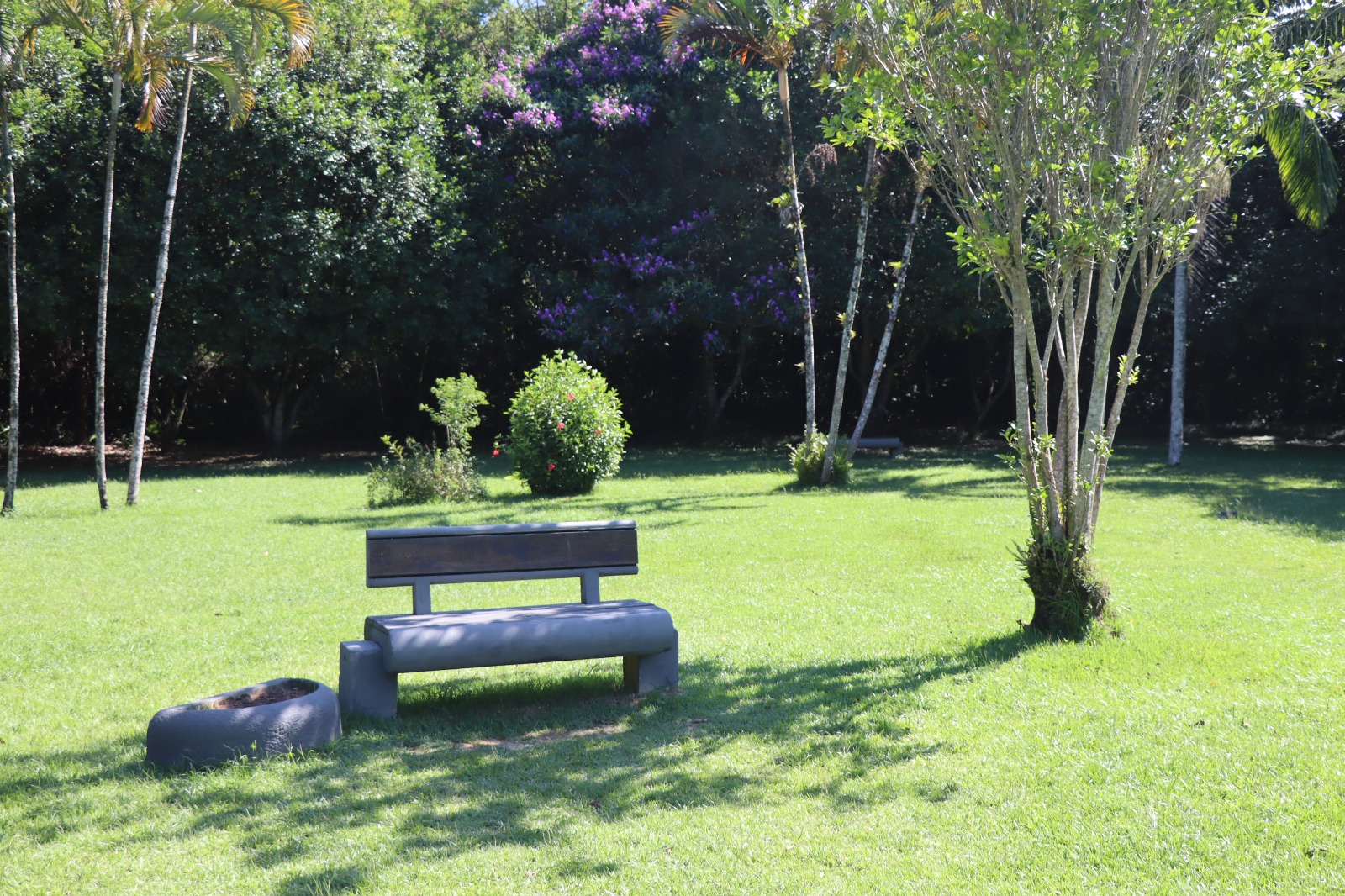 Parque Raimundo Malta terá programação especial neste sábado